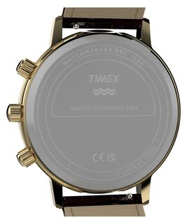 Luxusní TW2Y99000-GOLD HODINKY, UNI
