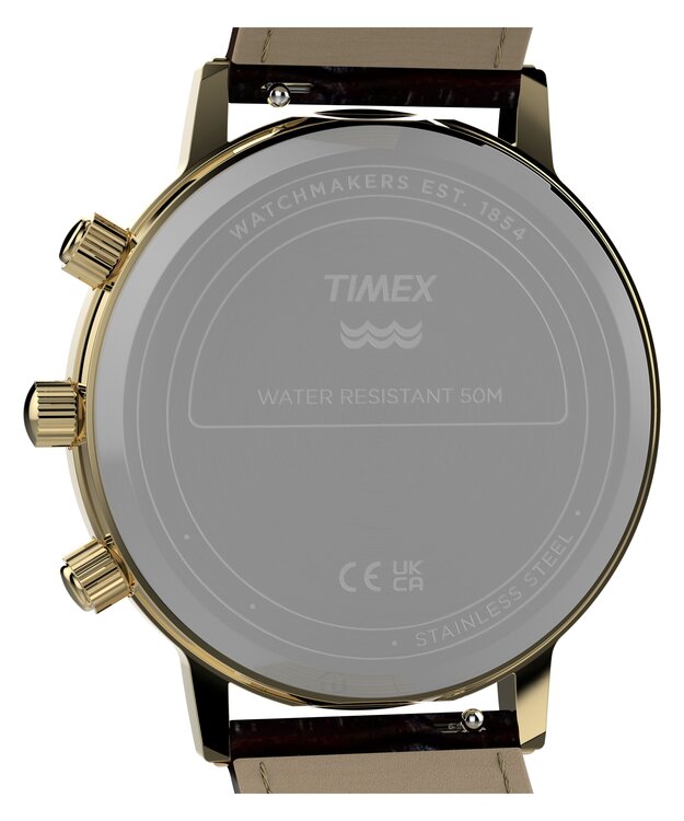 Luxusní TW2Y99000-GOLD HODINKY, UNI