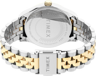 TW2U53900UK-Two-Tone HODINKY