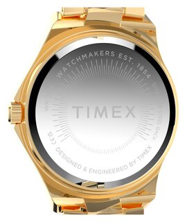 Luxusní TW6A04600-GOLD HODINKY, UNI