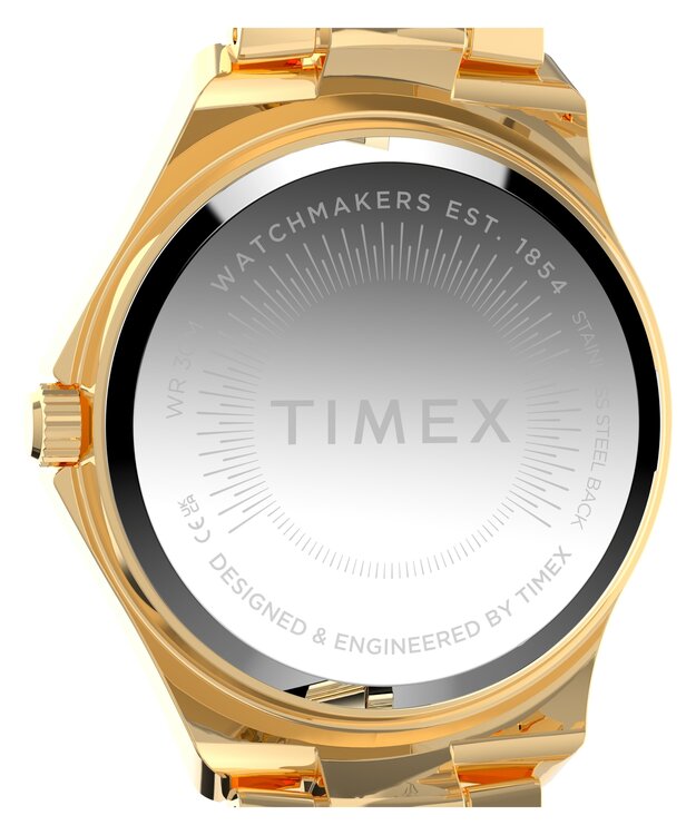 Luxusní TW6A04600-GOLD HODINKY, UNI