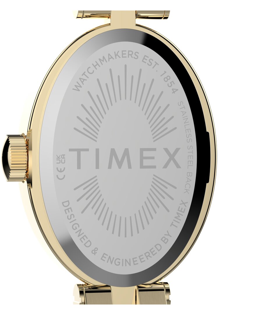 Luxusní TW2Y90100-GOLD HODINKY, UNI