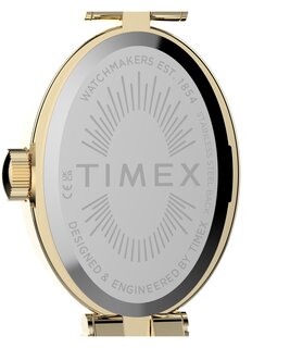 Luxusní TW2Y90100-GOLD HODINKY, UNI