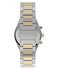 Módní TW2Y92300UK-TWO TONE HODINKY, 2026