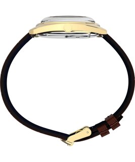 TW2Y87200-GOLD HODINKY – TIMEX Muži
