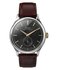 TIMEX – TW2Y92100-SILVER HODINKY