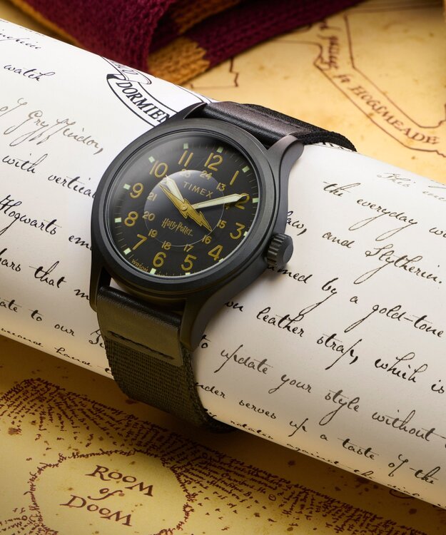 TIMEX TW6A05700QY-BLACK HODINKY