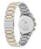 TW2Y92300UK-TWO TONE HODINKY Unisex