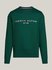 Tommy Logo mikina Zelená barva Muži