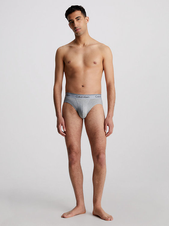 Athletic Cotton slipy 2 ks Modrá, Šedá barva Muži