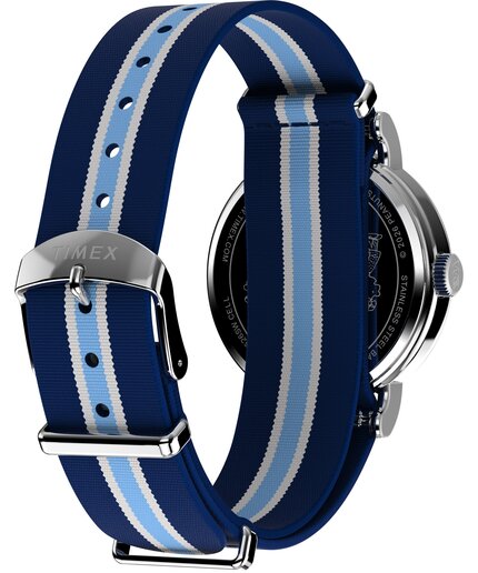 TW2Y50600UK-SILVER HODINKY Unisex