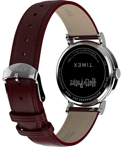 TW2Y76200QY-SILVER HODINKY Unisex