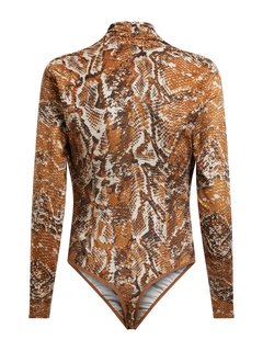 Hnědá barva, Hudson body