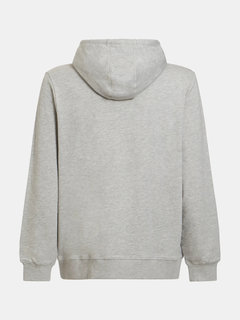 Guess, Šedá barva Terry mikina