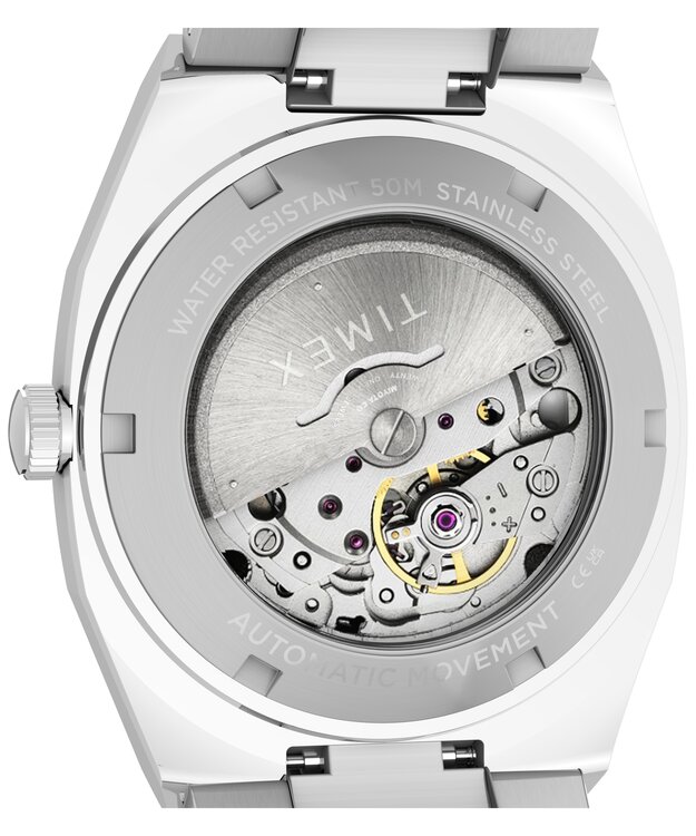 Luxusní TW6A00700UK-SILVER HODINKY, UNI