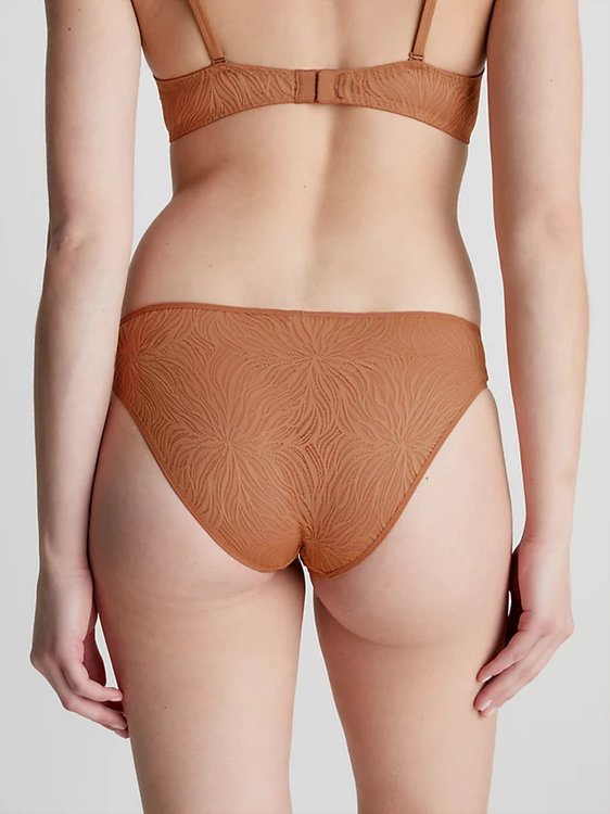 Módní Sheer Marquisette bikiny, Hnědá barva, 2023