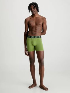 Intense Power boxery 2ks Modrá, Zelená barva Muži