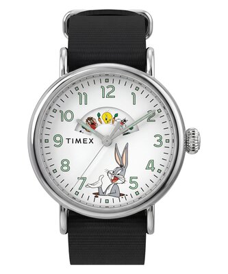 TIMEX – TW2Y99100QY-SILVER HODINKY
