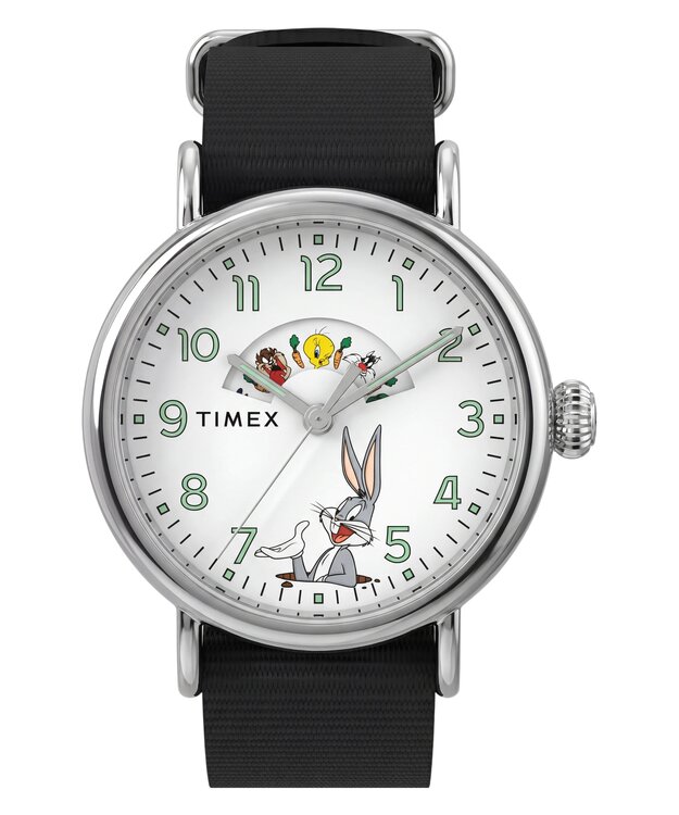 TIMEX – TW2Y99100QY-SILVER HODINKY