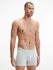 Calvin Klein Underwear 000NB2971A-1RM boxery 3PK