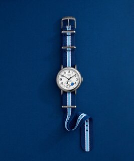 TW2Y50600UK-SILVER HODINKY