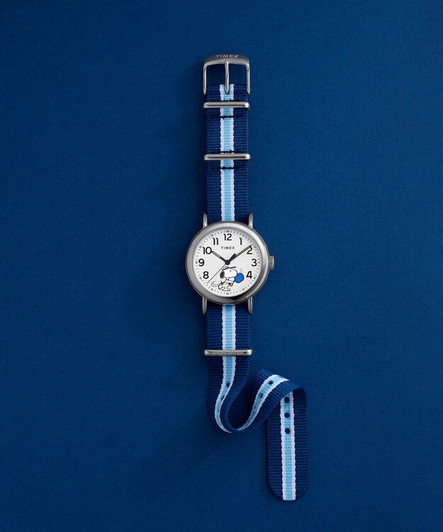 TW2Y50600UK-SILVER HODINKY