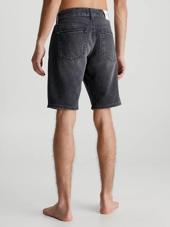 Regular kraťasy – Calvin Klein Jeans, Šedá barva Muži