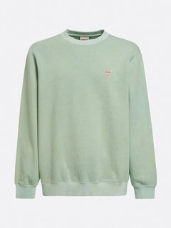 Zelená barva, Logo mikina