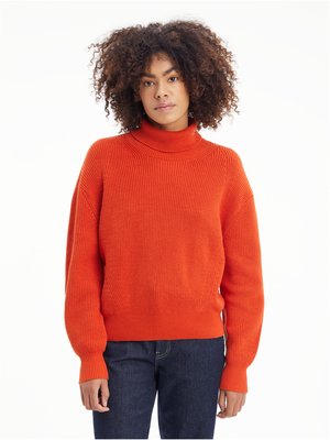 J20J219774-S04 svetr