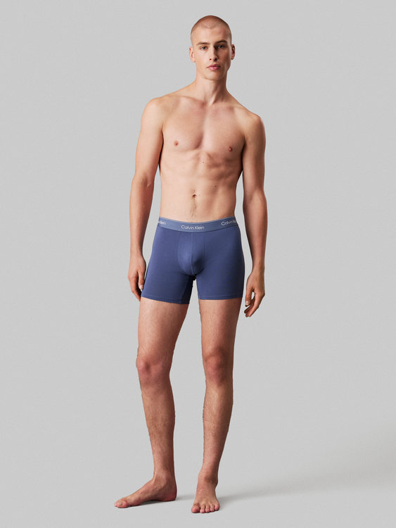 LV00NB4394-VQN boxery BOXER BRIEF 3PK – Calvin Klein Underwear Muži