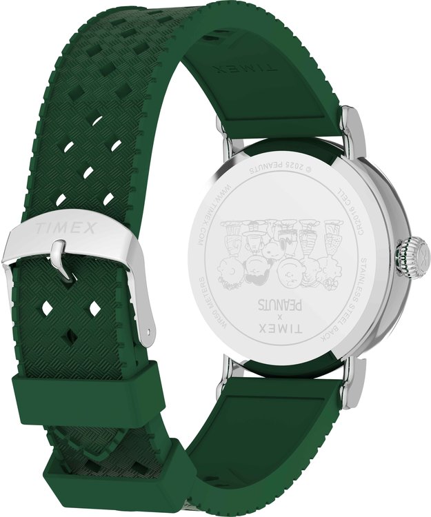 TW2W78900UK-SILVER-TONE HODINKY Muži