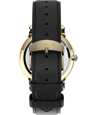 City Collection hodinky – TIMEX, Černá, Zlatá barva Muži