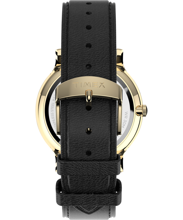 City Collection hodinky – TIMEX, Černá, Zlatá barva Muži