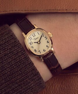 TIMEX – TW2Y87700-GOLD HODINKY 1