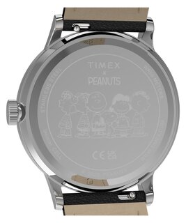 Luxusní TW2Y85600-SILVER HODINKY, UNI