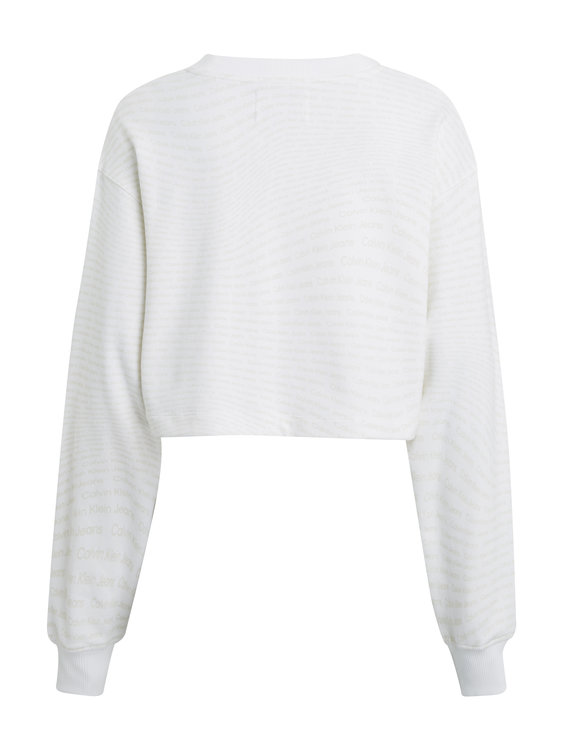 J20J223072-0K9 mikina