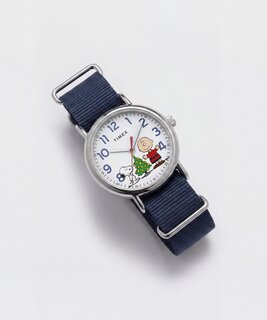 TIMEX TW6A004006B-SILVER HODINKY