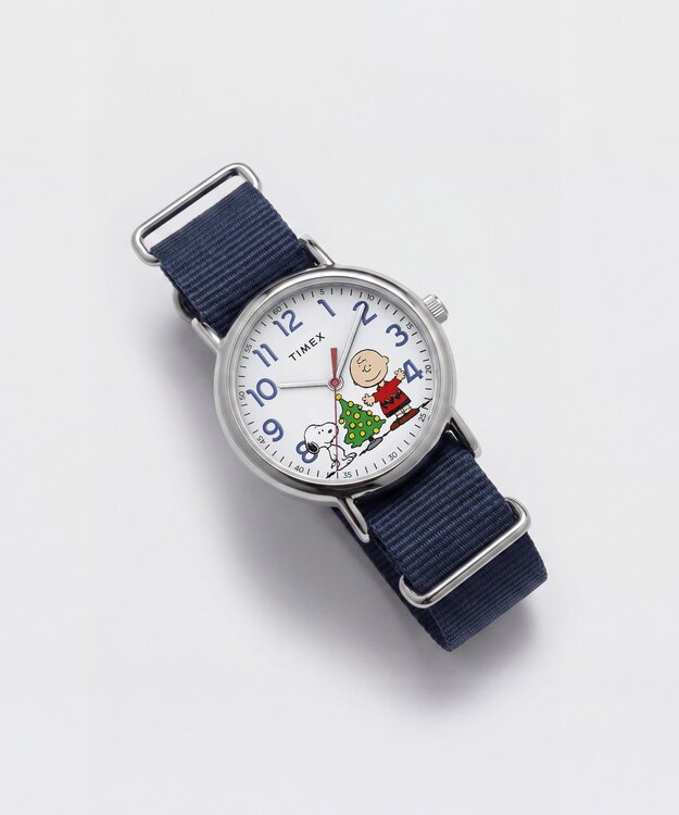 TIMEX TW6A004006B-SILVER HODINKY
