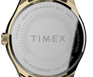 TW2V45700UK-Gold-Tone HODINKY Ženy