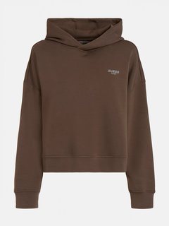 Hnědá barva, Christi mikina