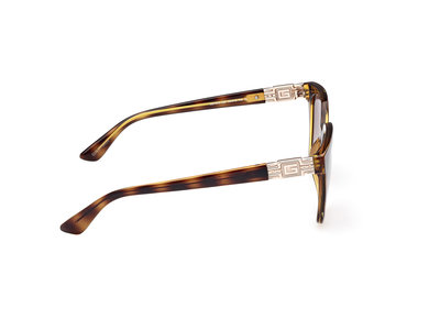 Hnědá barva, Sluneční brýle