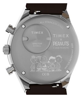 Luxusní TW6A04400UK-SILVER HODINKY, UNI