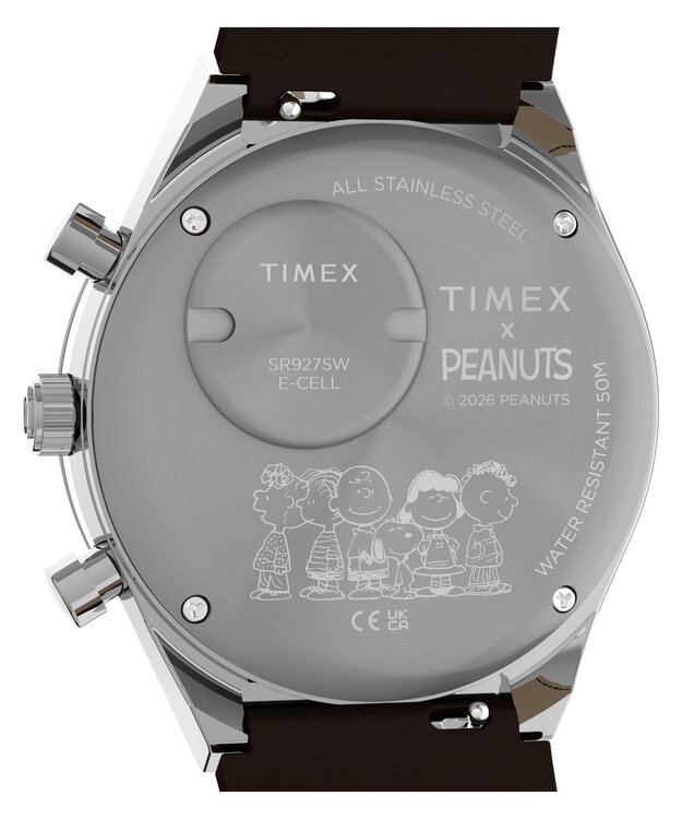 Luxusní TW6A04400UK-SILVER HODINKY, UNI