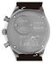 Luxusní TW6A04400UK-SILVER HODINKY, UNI