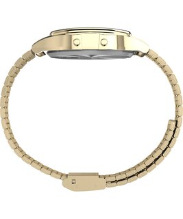 TW2Y76800UK-GOLD HODINKY – TIMEX Unisex