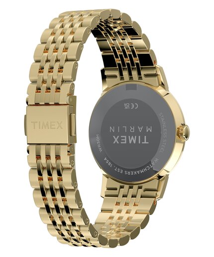 TW6A04000UK-GOLD HODINKY Unisex