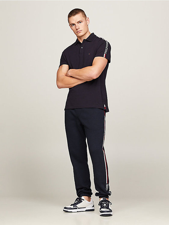 Global Stripe Monotype polo – Tommy Hilfiger, Modrá barva Muži