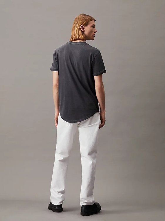 Washed Monologo triko – Calvin Klein Jeans, Šedá barva Muži