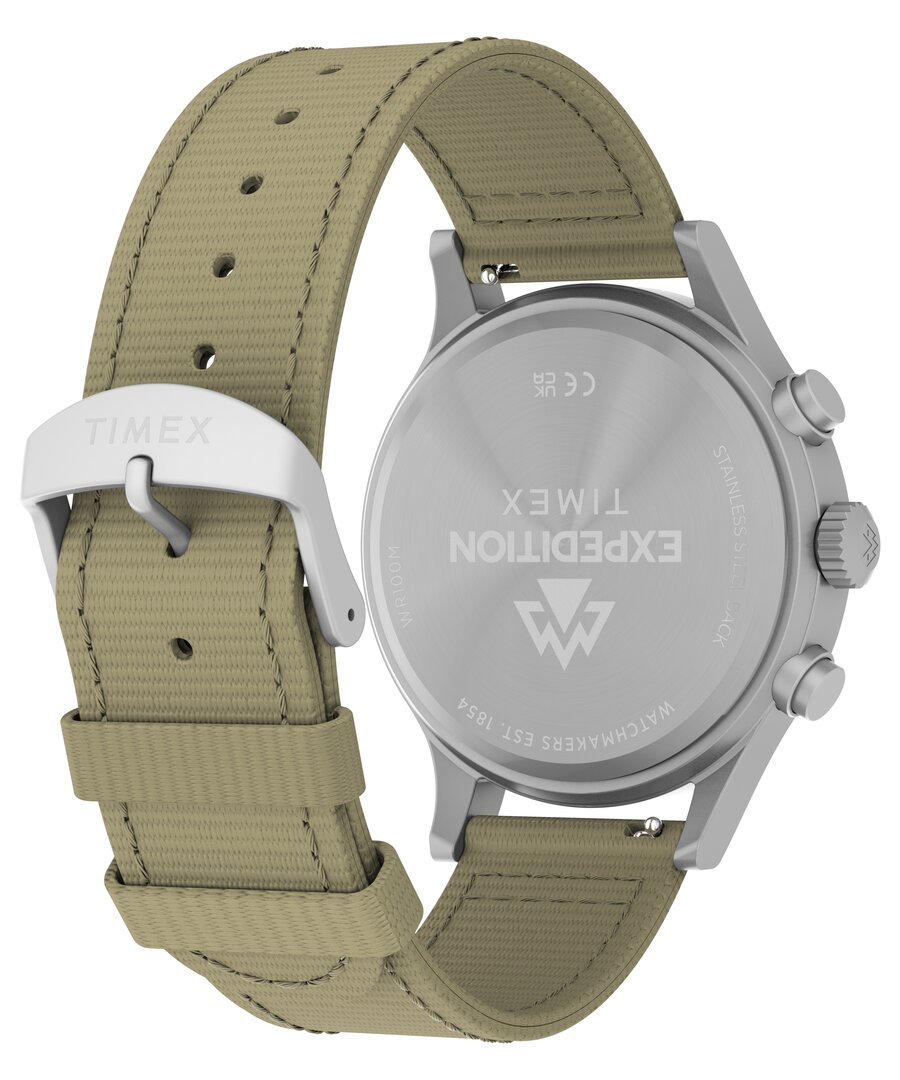 TW2Y89300UK-SILVER HODINKY Muži