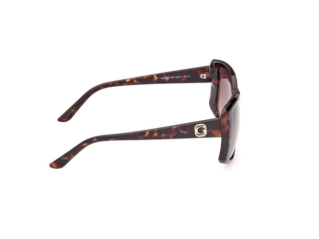 Hnědá, Zvířecí  barva, Sluneční brýle